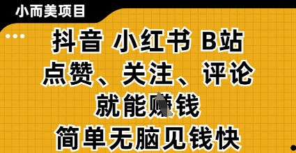小而美的项目，抖音小红书B站视频点赞、关注、评论就能挣钱，简单无脑立见收益，妥妥的零撸项目【揭秘】-追梦聊项目